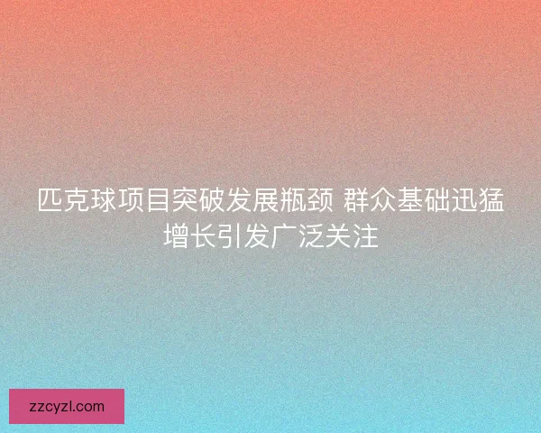 匹克球项目突破发展瓶颈 群众基础迅猛增长引发广泛关注